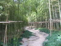 2009 China 132